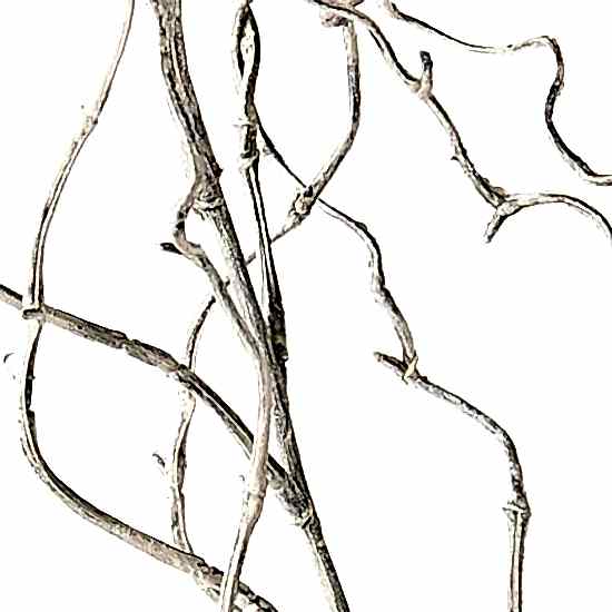 Artificial Flowers | Tortured Willow | Grey Wash | Farmhouse | Coastal | Home Decor - Image 2