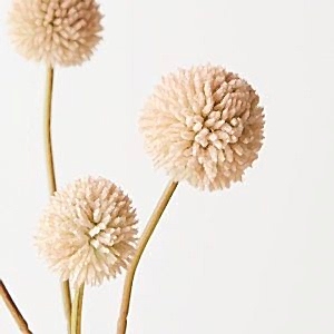 Artificial Flowers | Billy Button Bundle - 48cmL Natural | Native Plants - Image 2