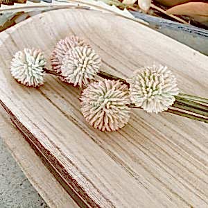Artificial Flowers | Billy Button Bundle - 48cmL Natural | Native Plants - Image 5