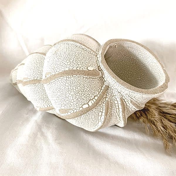 Home Decor | Ceramic Shell | Textured White & Stone | Large | Coastal